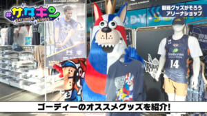 Vol.208 アリーナに潜入！