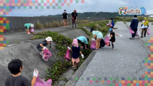 #232「17のたね」