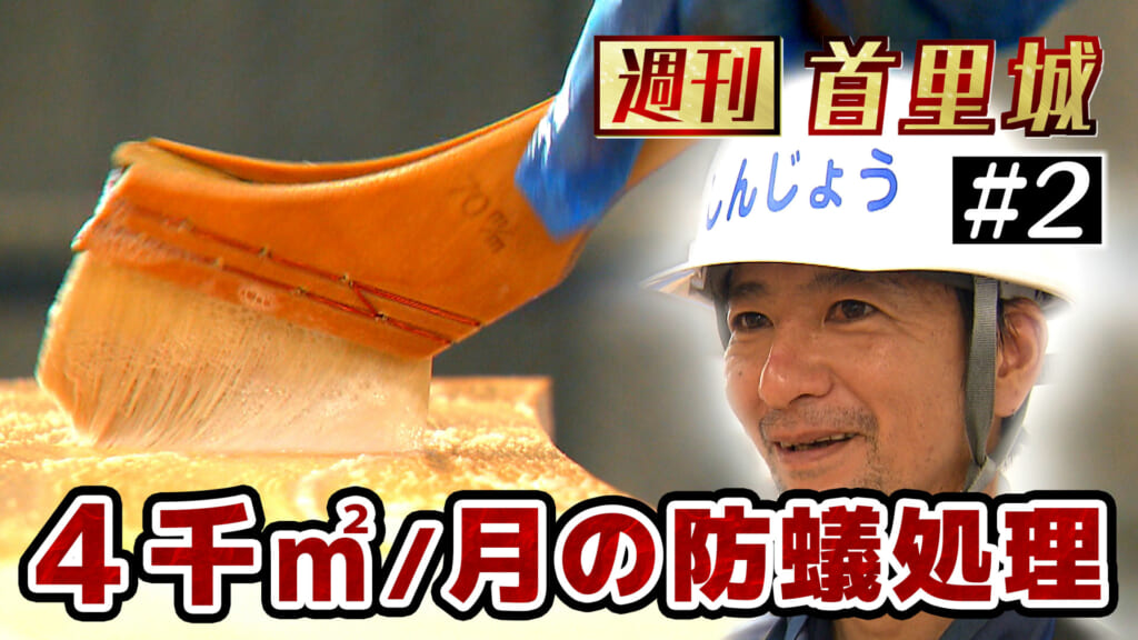 第2回 週刊首里城「再建工事の防蟻処理を担当 新城克治さん」