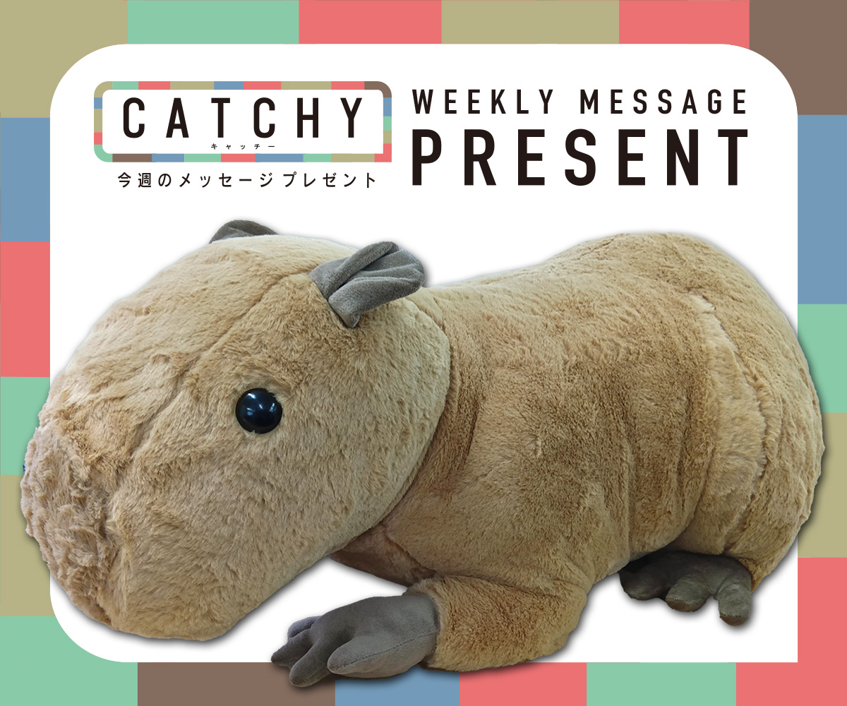 CATCHY 視聴者プレゼント