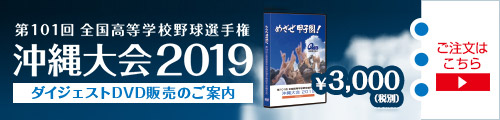 第101回全国高等学校野球選手権記念沖縄大会 ダイジェストDVD