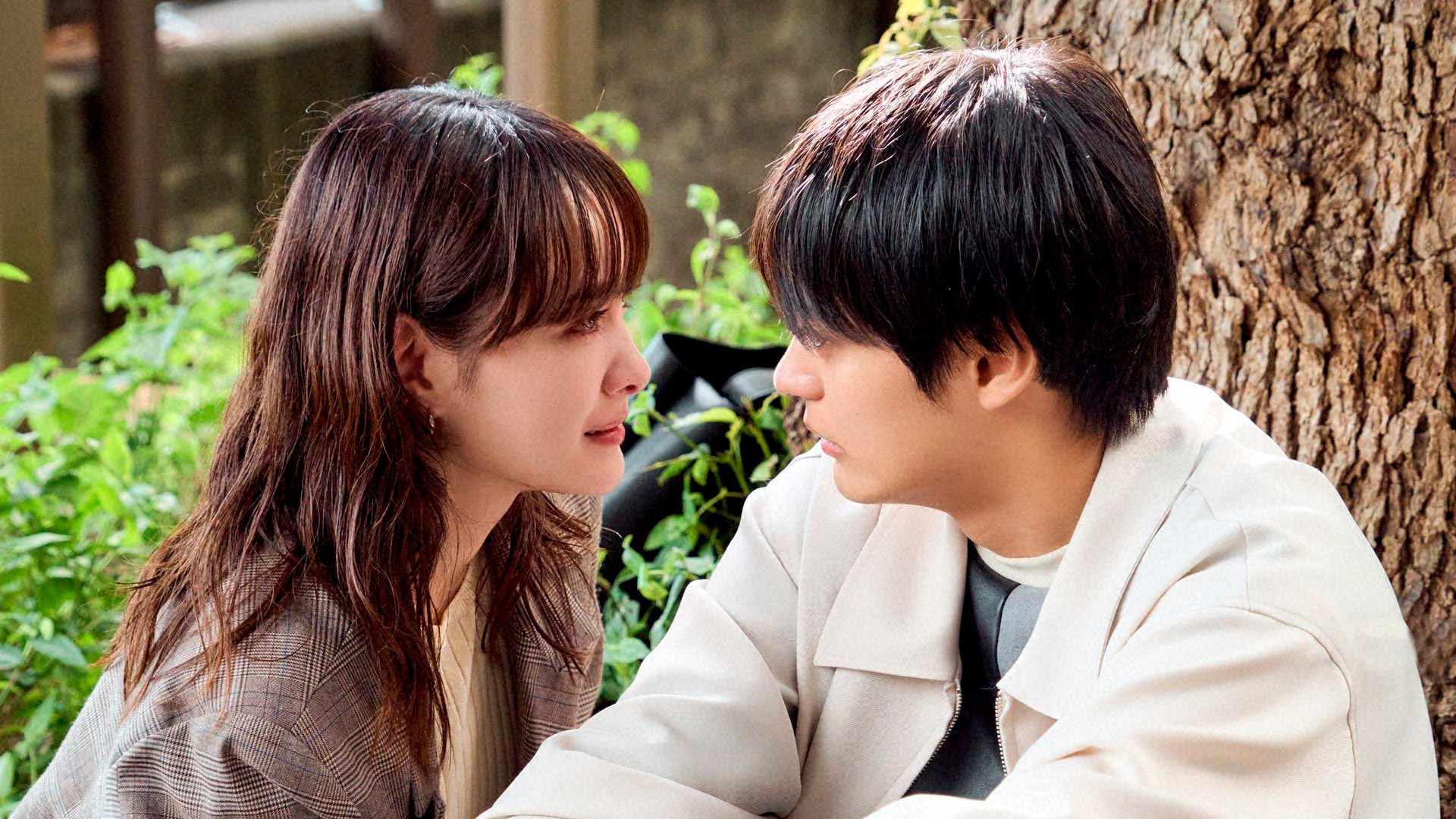 QABイチオシ番組