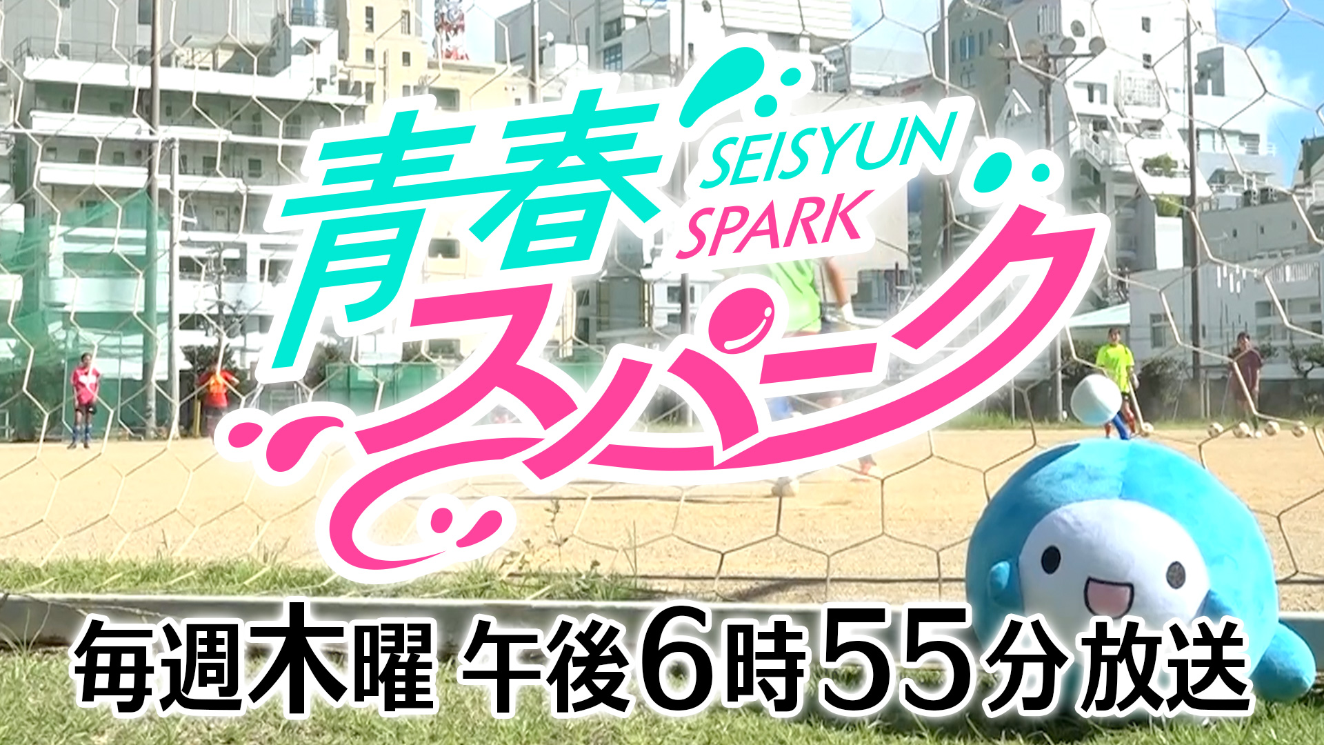 青春スパーク