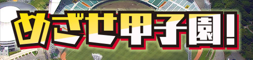 めざせ甲子園！
