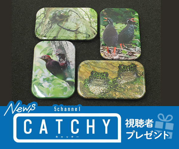 ニュース CATHY 視聴者プレゼント