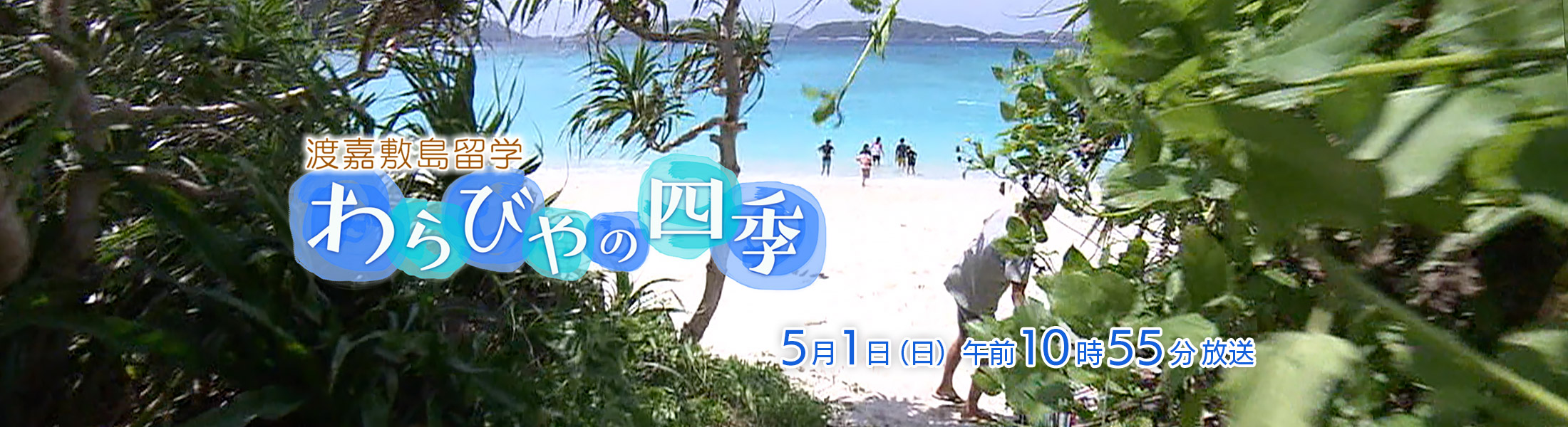 渡嘉敷島留学「わらびや」の四季