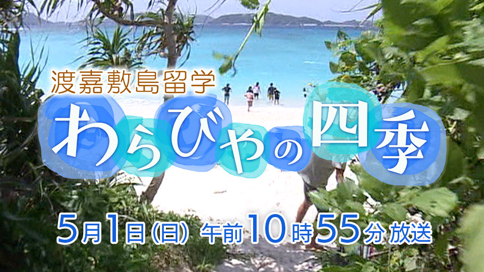 渡嘉敷島留学「わらびや」の四季