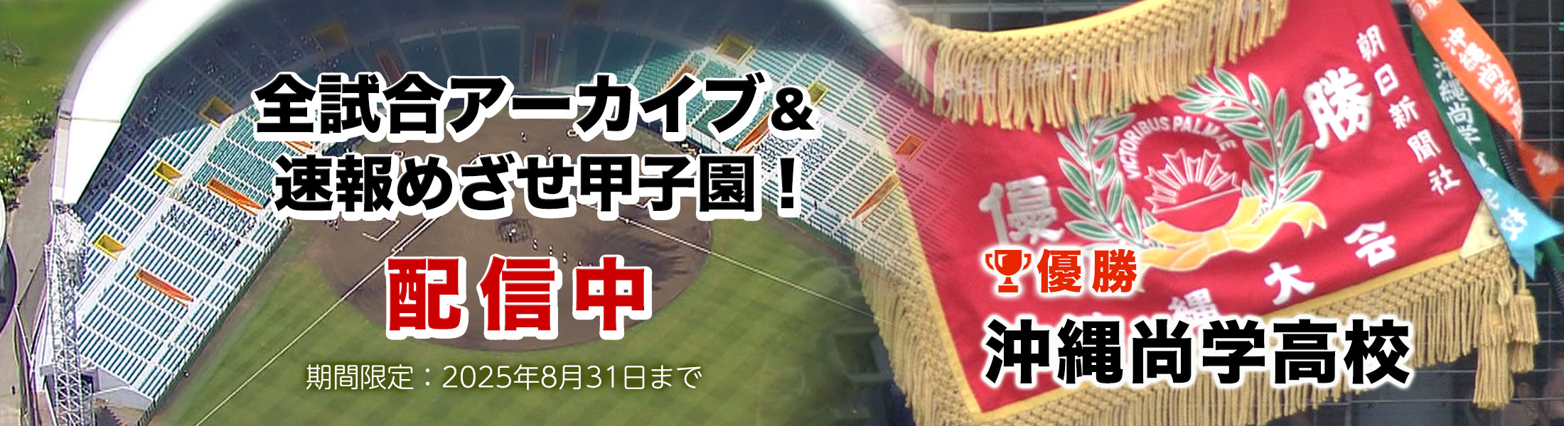 めざせ甲子園！