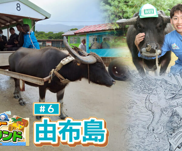 由布島