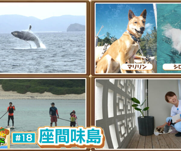 座間味島