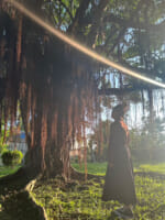 伊藤理々杏とジャスプレッソの電波砲