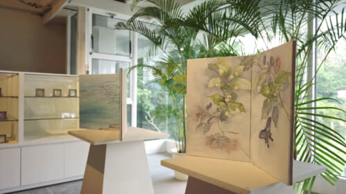 ザ・ムーンビーチ ミュージアムリゾート