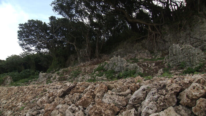 戦没者を二度殺すのか ~沖縄戦戦没者遺骨が眠る土と埋め立て計画~