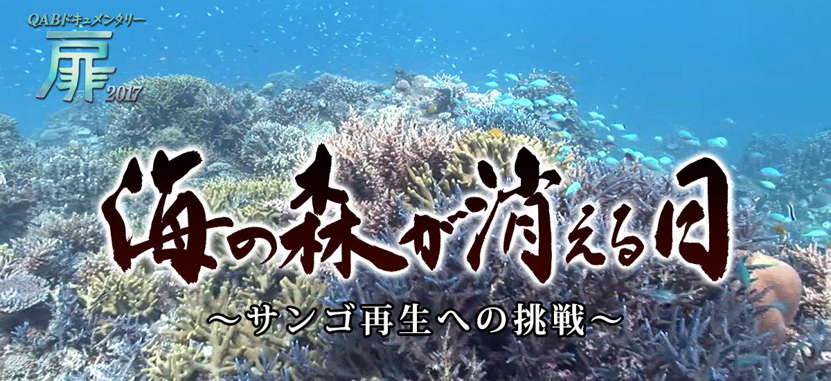 海の森が消える日〜サンゴ再生への挑戦〜