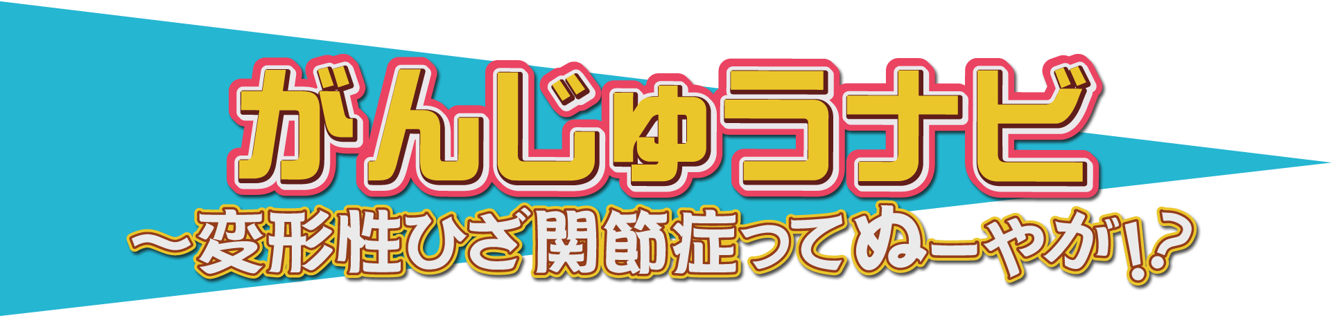 がんじゅうナビ 変形性ひざ関節症ってぬ～やが！？