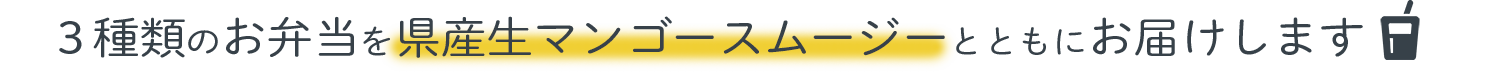 3種類のお弁当を県産生マンゴースムージーとともにお届けします