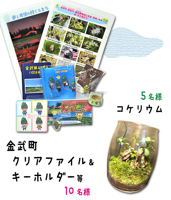 ドキドキ♪ワクワク♫ こども自由研究 in おうち 視聴者プレゼント