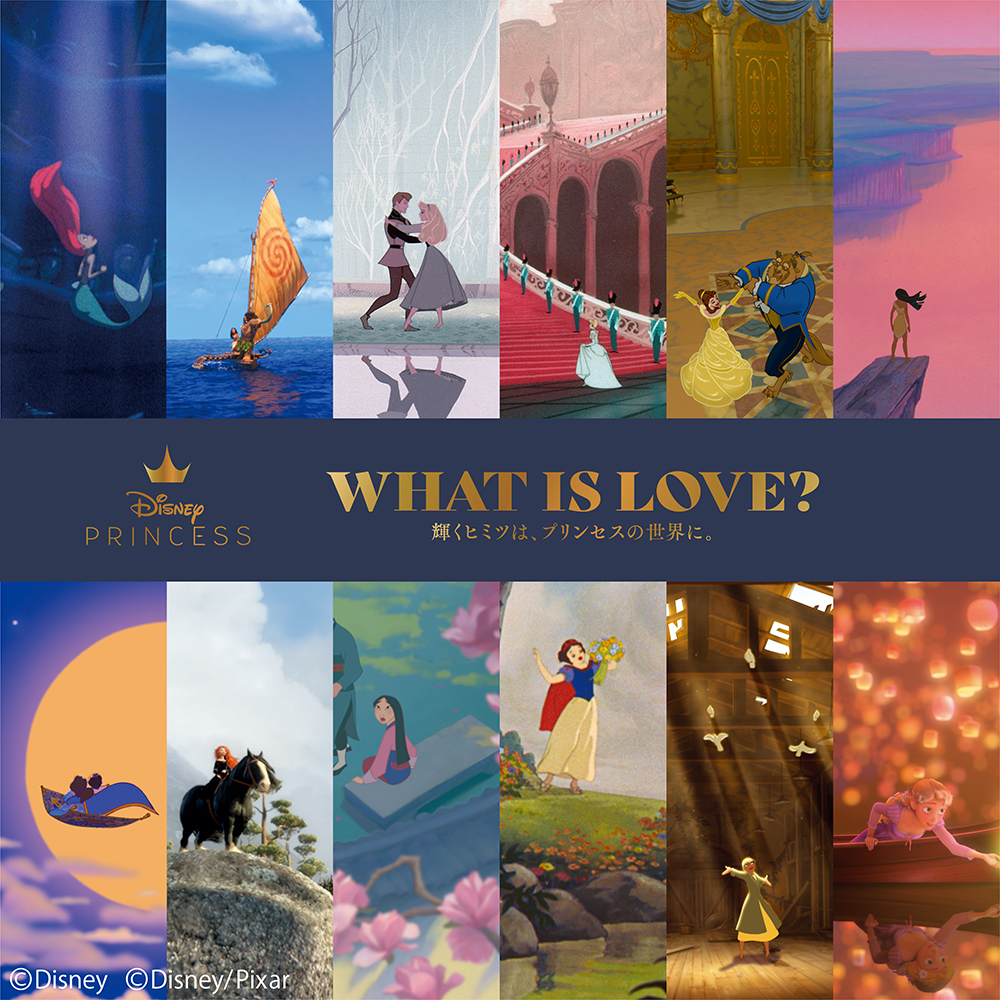 ディズニープリンセス展 What Is Love 輝くヒミツは プリンセスの世界に Qab 琉球朝日放送