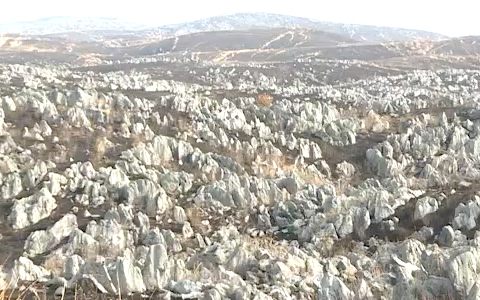 秋吉台 カルスト台地